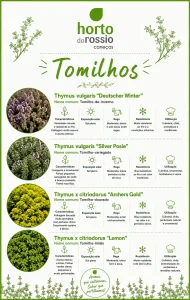 tomilhos