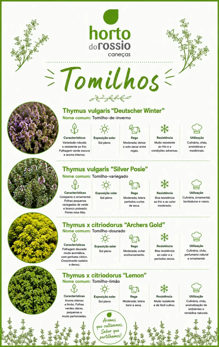tomilhos