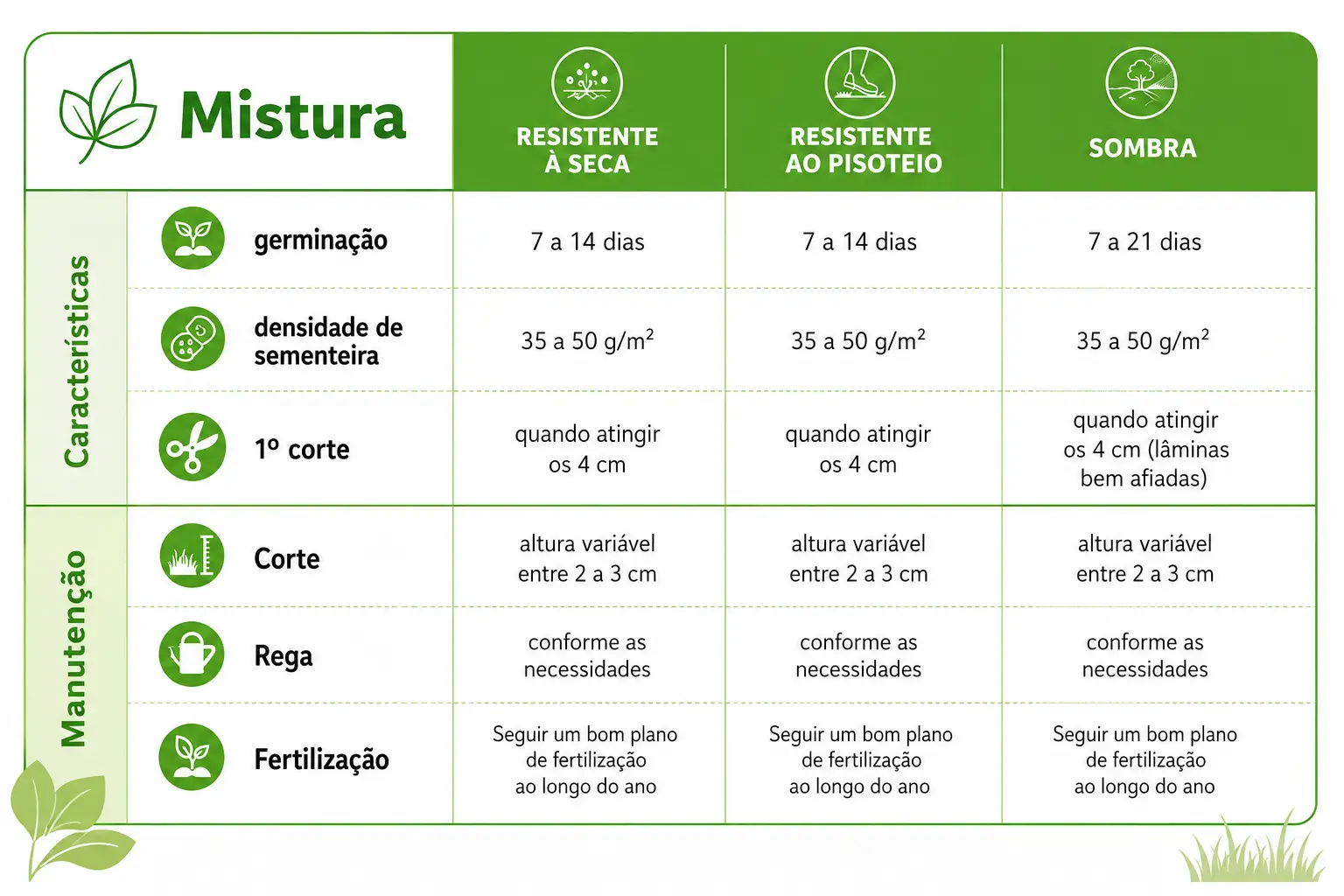 Sementes de relva