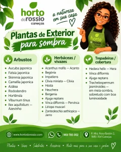Plantas para sombra