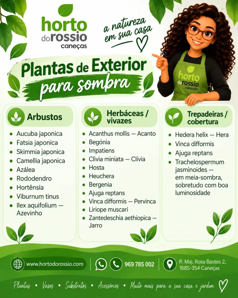 Plantas para sombra