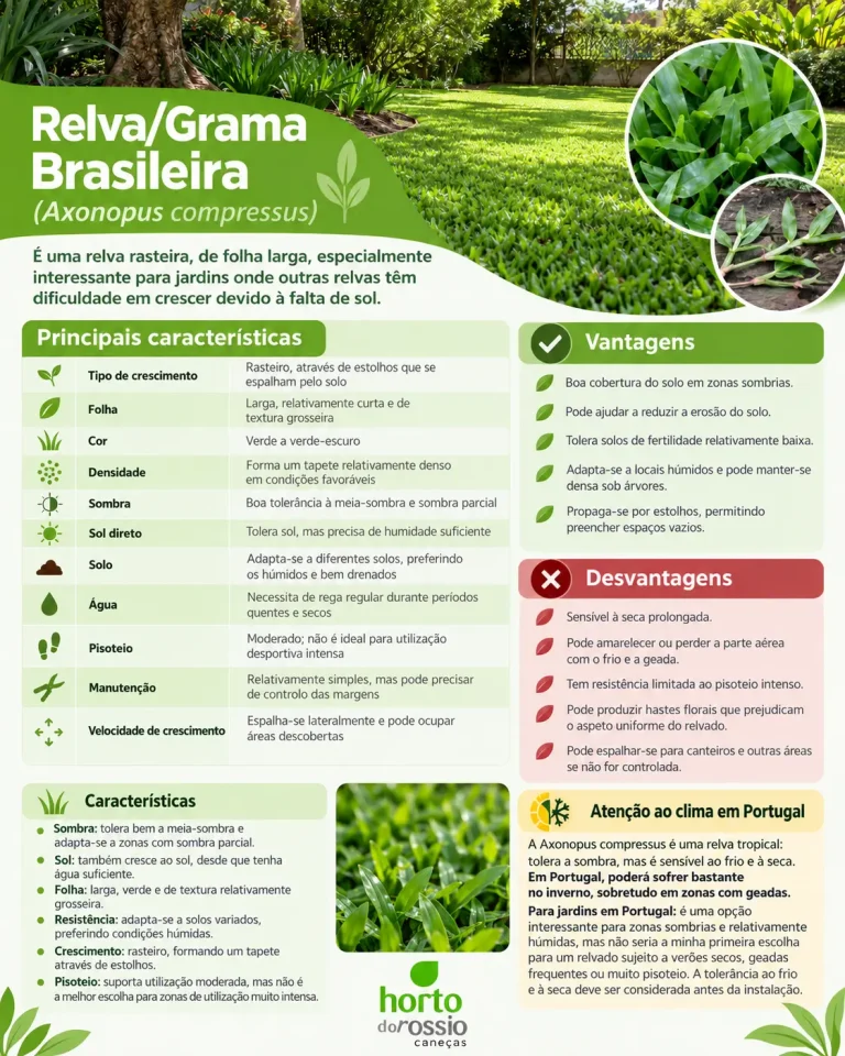 Relva Brasileira